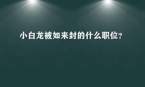 小白龙被如来封的什么职位？