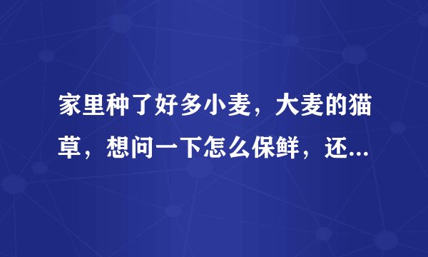 家里种了好多小麦，大麦的猫草，想问一下怎么保鲜，还是晒干？想卖掉一部分猫草，请问有什么办法好？