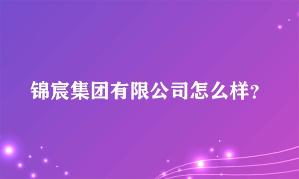 锦宸集团有限公司怎么样？