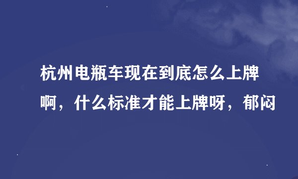 杭州电瓶车现在到底怎么上牌啊，什么标准才能上牌呀，郁闷