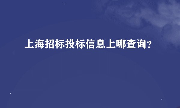 上海招标投标信息上哪查询？