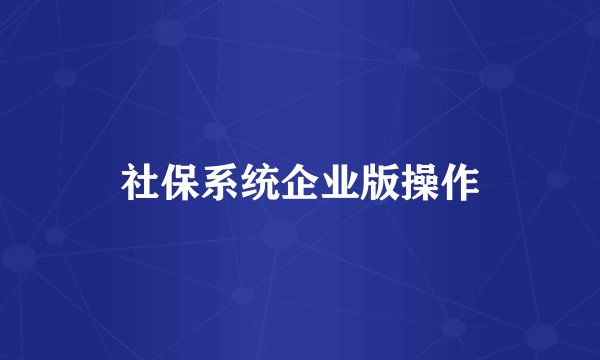 社保系统企业版操作