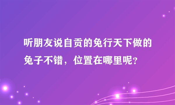 听朋友说自贡的兔行天下做的兔子不错，位置在哪里呢？