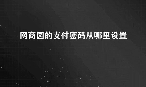网商园的支付密码从哪里设置