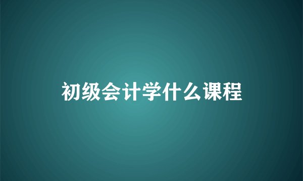 初级会计学什么课程