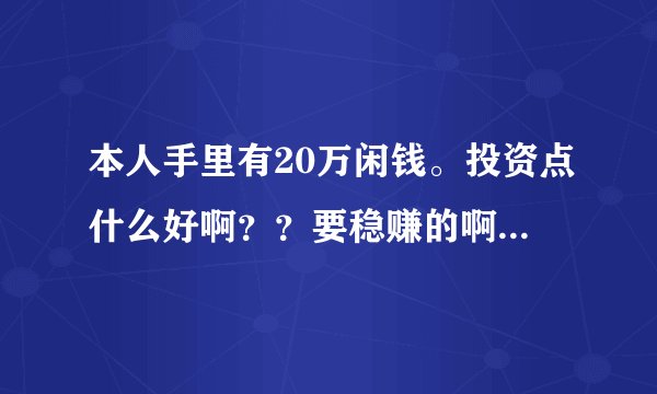 本人手里有20万闲钱。投资点什么好啊？？要稳赚的啊。求答案