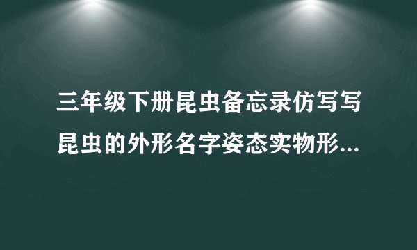 三年级下册昆虫备忘录仿写写昆虫的外形名字姿态实物形象特点怎么写?