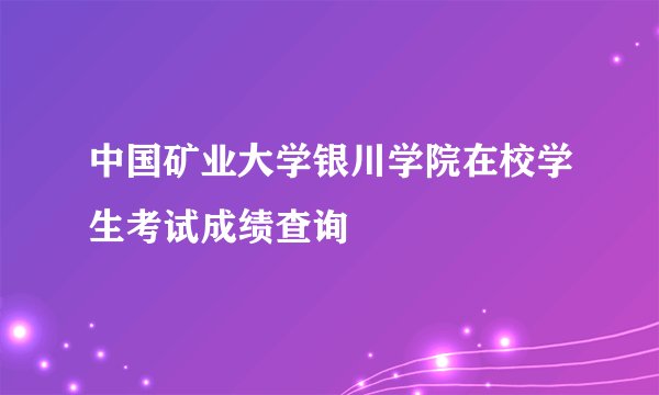 中国矿业大学银川学院在校学生考试成绩查询