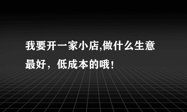 我要开一家小店,做什么生意最好，低成本的哦！