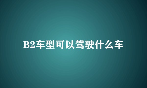 B2车型可以驾驶什么车