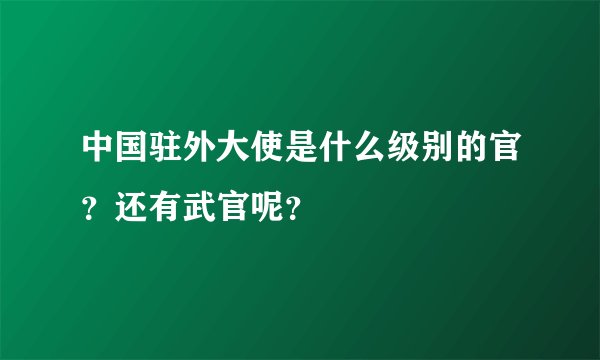 中国驻外大使是什么级别的官？还有武官呢？