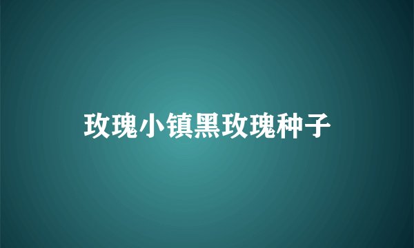 玫瑰小镇黑玫瑰种子