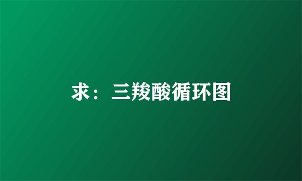 求：三羧酸循环图
