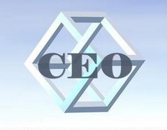 CEO和CFO谁大?