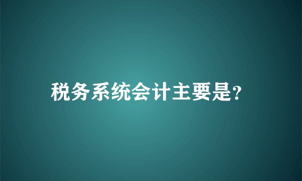 税务系统会计主要是？