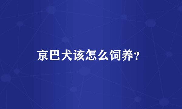 京巴犬该怎么饲养？