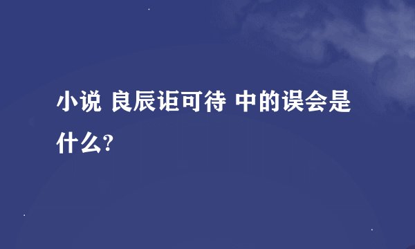 小说 良辰讵可待 中的误会是什么?
