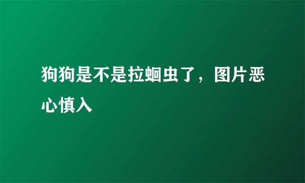 狗狗是不是拉蛔虫了，图片恶心慎入