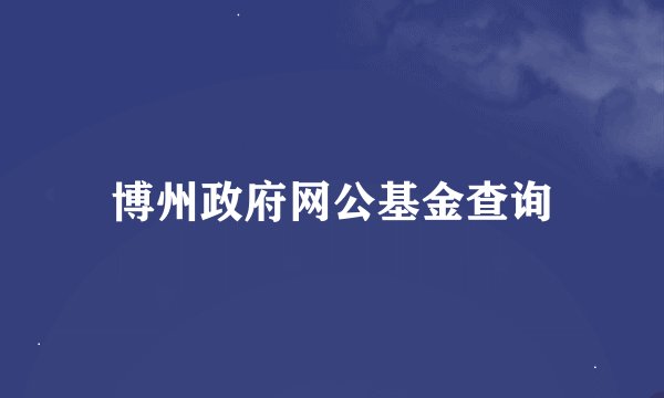 博州政府网公基金查询