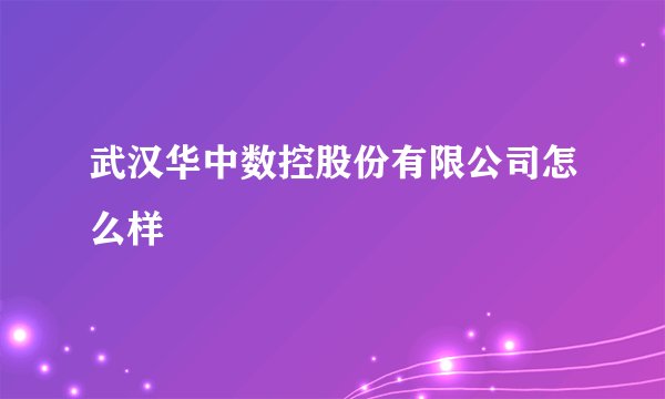 武汉华中数控股份有限公司怎么样