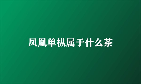 凤凰单枞属于什么茶