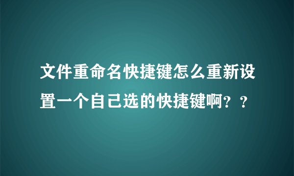 文件重命名快捷键怎么重新设置一个自己选的快捷键啊？？
