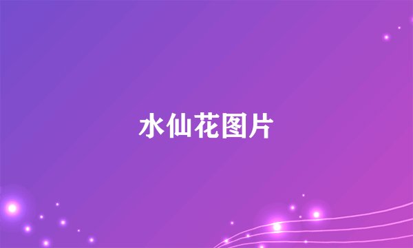 水仙花图片
