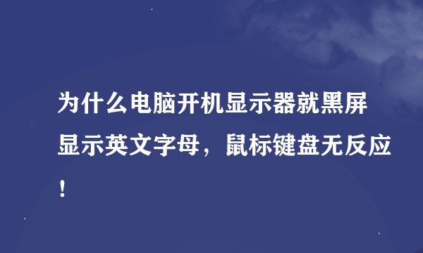 为什么电脑开机显示器就黑屏显示英文字母，鼠标键盘无反应！