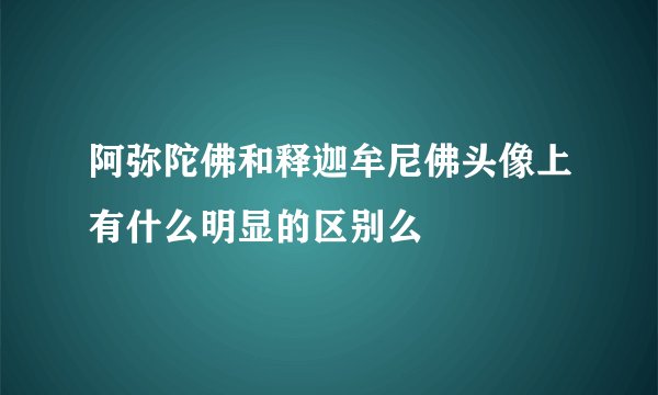 阿弥陀佛和释迦牟尼佛头像上有什么明显的区别么
