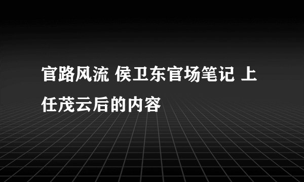 官路风流 侯卫东官场笔记 上任茂云后的内容