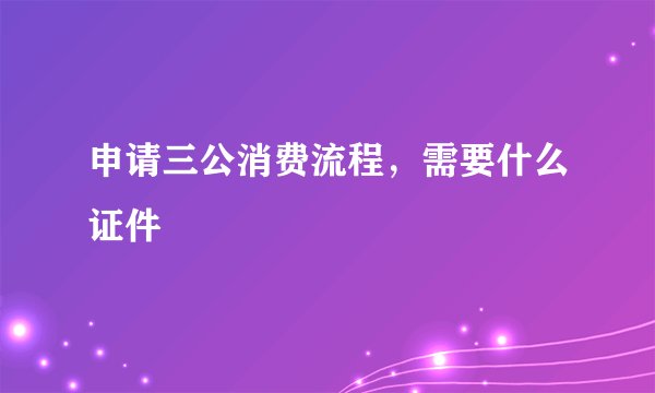 申请三公消费流程，需要什么证件