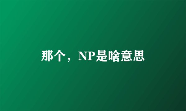 那个，NP是啥意思