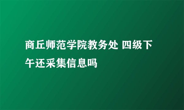 商丘师范学院教务处 四级下午还采集信息吗