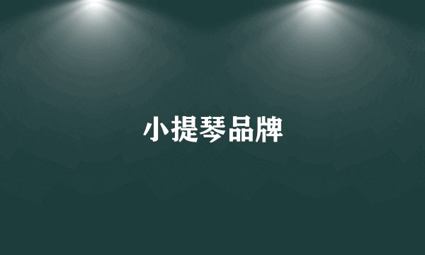 小提琴品牌
