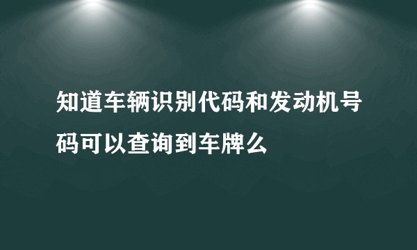 知道车辆识别代码和发动机号码可以查询到车牌么