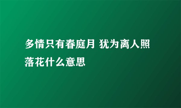 多情只有春庭月 犹为离人照落花什么意思