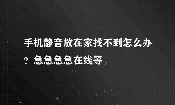 手机静音放在家找不到怎么办？急急急急在线等。