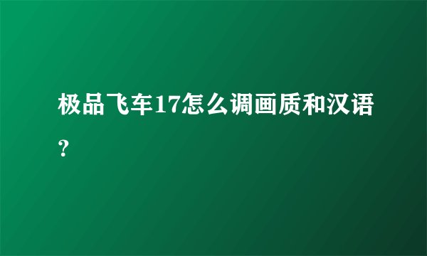 极品飞车17怎么调画质和汉语？
