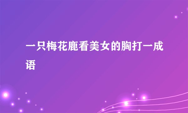 一只梅花鹿看美女的胸打一成语