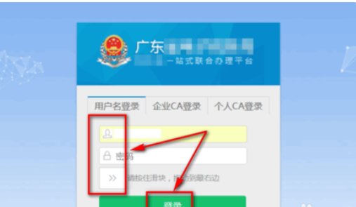 浙江国税电子缴税付款凭证怎么打印