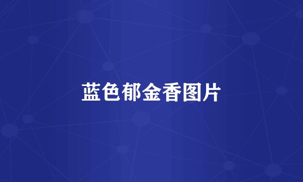 蓝色郁金香图片