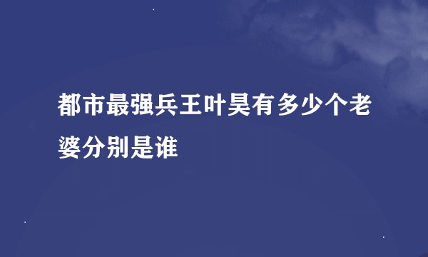 都市最强兵王叶昊有多少个老婆分别是谁