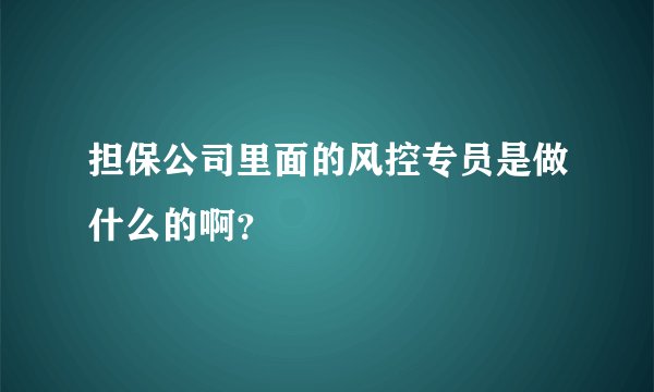 担保公司里面的风控专员是做什么的啊？