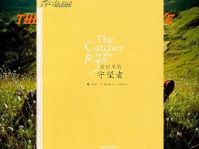 麦田里的守望者读后感100字