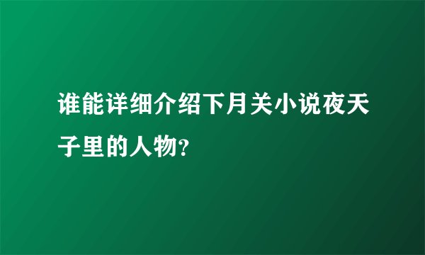 谁能详细介绍下月关小说夜天子里的人物？