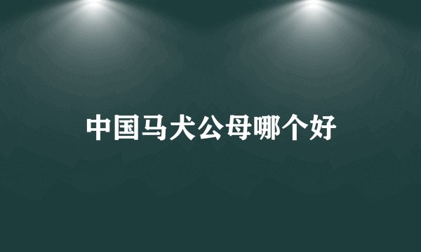 中国马犬公母哪个好