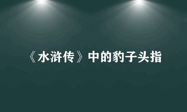《水浒传》中的豹子头指