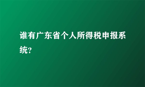 谁有广东省个人所得税申报系统？