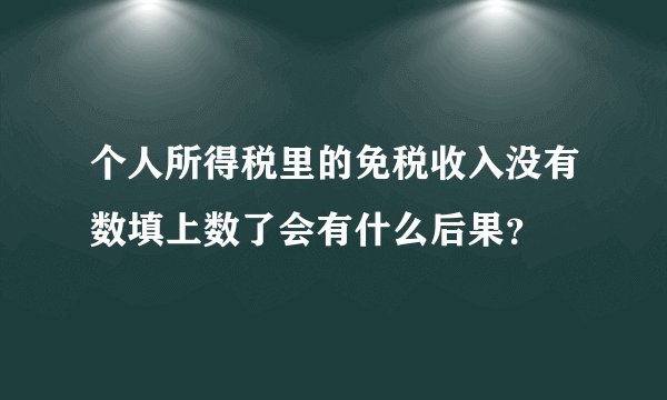 个人所得税里的免税收入没有数填上数了会有什么后果？