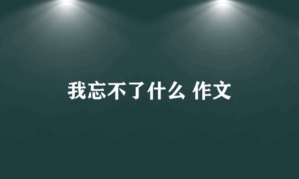 我忘不了什么 作文